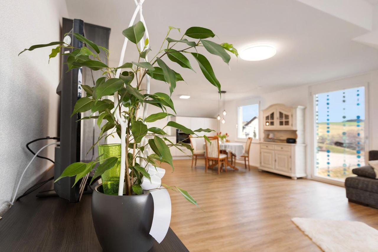 Kleine Auszeit Apartment Albbruck Екстериор снимка