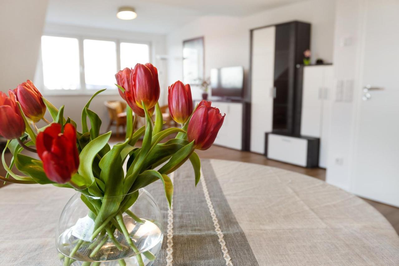 Kleine Auszeit Apartment Albbruck Екстериор снимка